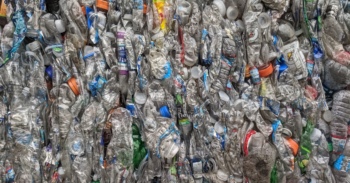 Garrafas de plástico PET prensadas em fardos para reciclagem, o mesmo tipo de resíduo usado como matéria-prima pela levedura geneticamente modificada da pesquisa